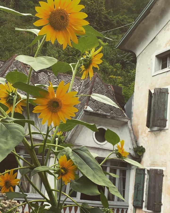 ホテル Locanda Ponte Serra Lamon エクステリア 写真